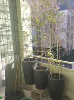 20151227_142803.webp