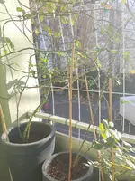 20151227_142819.webp