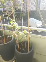 20151227_142823.webp