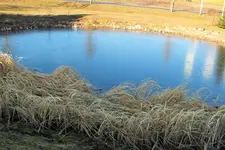 DSCF4950 (2).webp