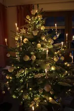 IMG_7320.webp