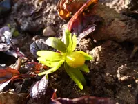 P1010119 - Kopie.webp
