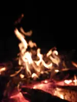 P1010229.webp