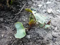 P1050336.webp