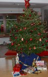 Baum14.jpg