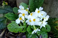 DSCF3157.webp