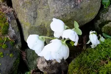 DSCF3162[1].webp