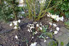 DSCF3153[1].webp