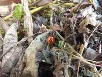 DSCF6960.webp