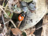 DSCF6961.webp