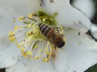 DSCF6939.webp