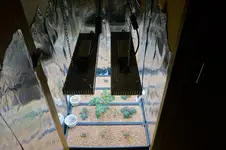DSC00462.webp