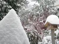 DSCN6601.webp
