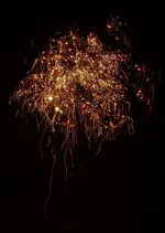 frwrk2015 (3).webp