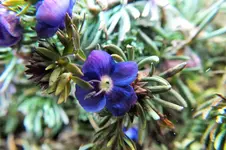 DSCF4939 (2).webp