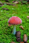 IMG_1086-3.jpg