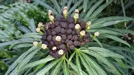 Bilda069.webp