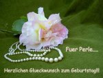 Copy of Kette+Rose fuer Perle h&G 2015.jpg