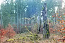 DSCF4977 (2).webp