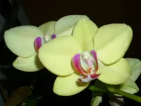 DSCI3878.webp