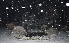 schneit.webp