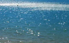 Copy of IMG_8319.webp