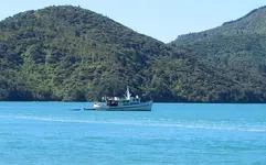 1Copy of IMG_8253v.webp