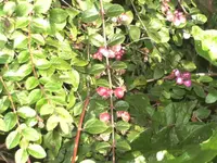 BILD3583.webp