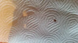 20160103_141532.webp