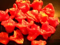 DSCN9928.webp