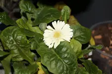 _DSC9717.webp