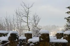 DSC_0619.jpg