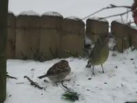 DSCF9292.webp