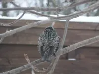 DSCF9356.webp