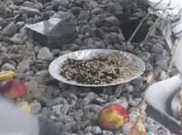DSCF9360.webp