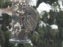 DSCF9371.webp