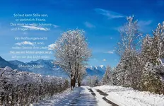 IMG_3458-2.webp