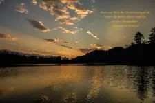 IMG_3721-2.webp