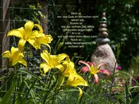 IMG_9438.webp