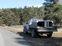 c23.3.2015 - 3.Tag Kaikoura SA, Seal Puppies,Clarence Valley, Cheviot Gorse Bay (170 v).webp