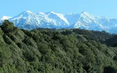 f23.3.2015 - 3.Tag Kaikoura SA, Seal Puppies,Clarence Valley, Cheviot Gorse Bay (87) v.webp