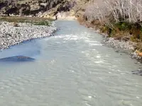 i23.3.2015 - 3.Tag Kaikoura SA, Seal Puppies,Clarence Valley, Cheviot Gorse Bay (108) v.webp