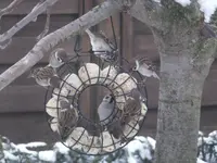 DSCF9414.webp