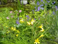 DSCN8861.webp