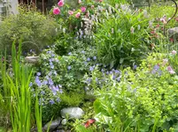 DSCN8864.webp