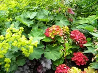 DSCN9226.webp