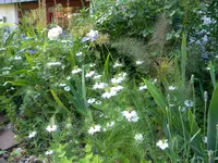 DSCN8961.webp