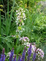 DSCN9295.webp