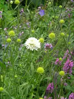DSCN9488.webp
