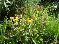 DSCN9645.webp
